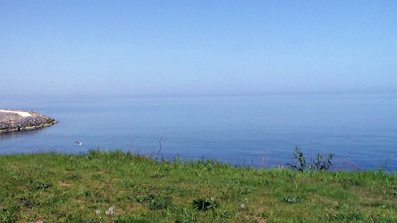 Black Sea