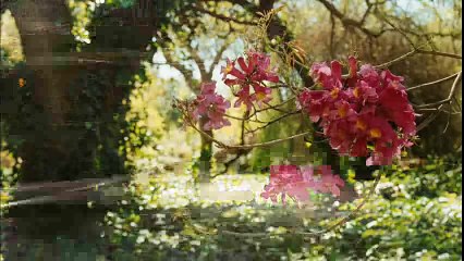 The Spiderwick Chronicles Teaser Trailer #1 (2008)