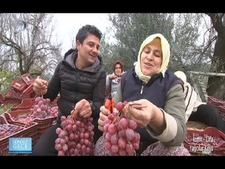 Gündüz Gece - İzmir/Urla - 13 Şubat 2016