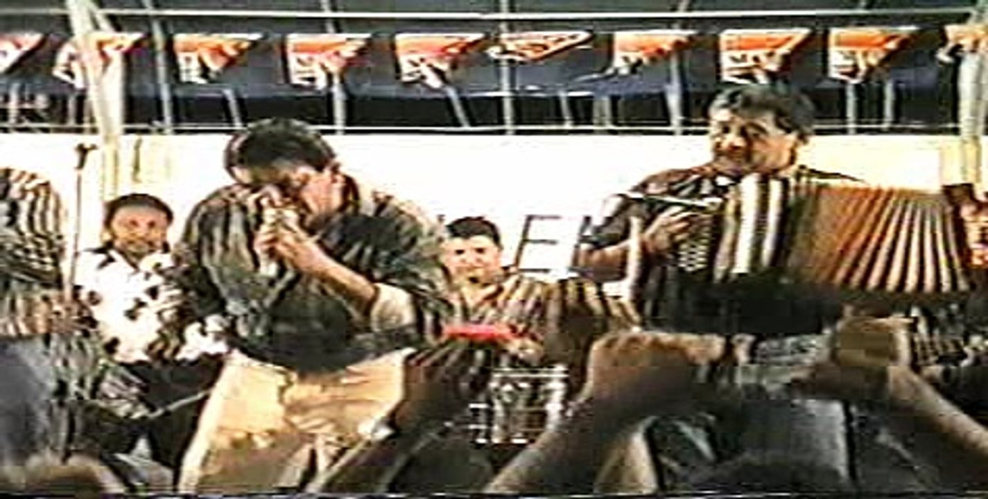 TARDES  DE  VERANO - HNOS ZULETA