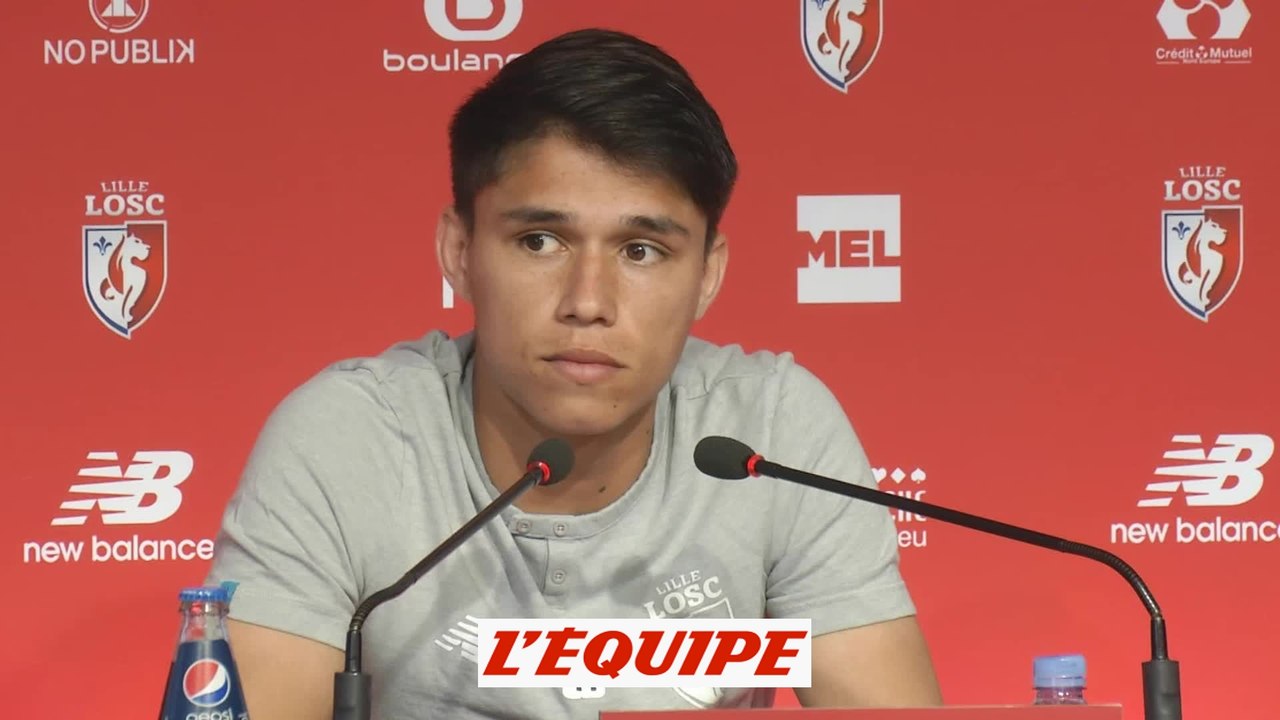 Araujo «La place du Losc est en L1» - Foot - L1 - LOSC