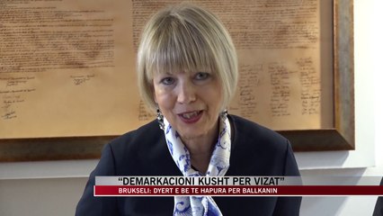 Schmid: Demarkacioni kusht për vizat - News, Lajme - Vizion Plus