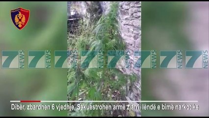 DIBER, POLICIA ARRESTOI 5 PERSONA PER DISA VJEDHJE - News, Lajme - Kanali 10
