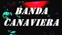 BANDA CANAVIERA _ VIDE VIDA MARVADA VIDEO CLIPE