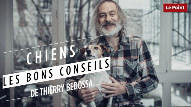 Thierry Bedossa : protéger son chien des parasites