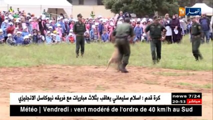 كلاب محلية مدربة لإكتشاف المخدرات والأسلحة