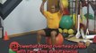 Essence of Stabilty Ball Training - Upper Body - Shoulders