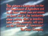 The Chicken of Tomorrow 1948 Poultry Farming Documentary