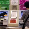INCREDIBLE! Crow tries to buy a train ticket with credit card