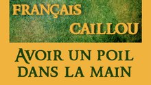 Français caillou / Définition du jour : "Avoir un poil dans la main"