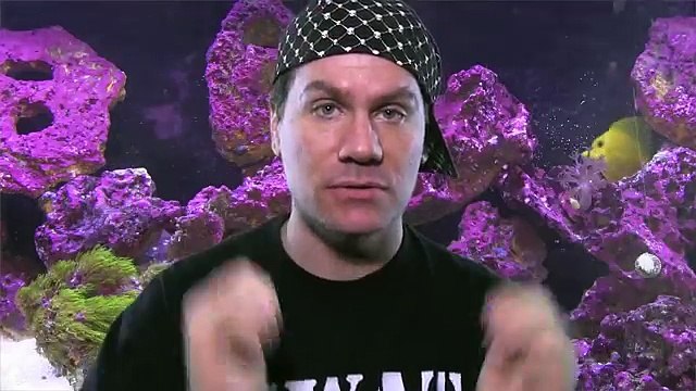 lower nitrates in saltwater aquarium: awesome sandbed vacuum technique: vacuum forever