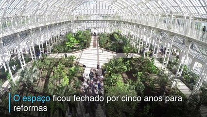 As mais raras plantas do mundo