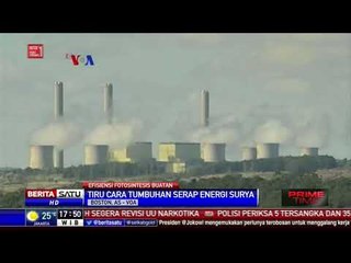 Fotosintesis Buatan untuk Menyimpan Energi