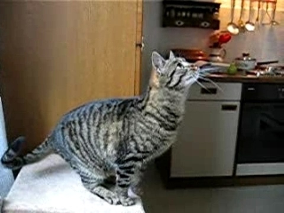 Lisa und ihr Leckerli