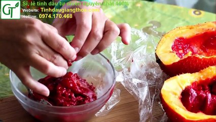 [Full] - Cách Làm Dầu Gấc Handmade Tại Nhà