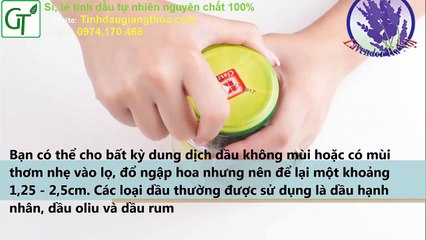 Cách Chiết Xuất Tinh Dầu Oải Hương Từ Hoa Oải Hương