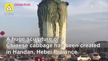 A huge sculpture of a Chinese cabbage has been created in Handan, Hebei Province.