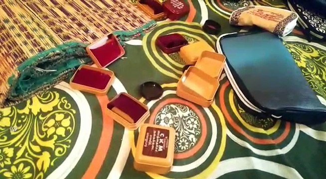ஓய்வு பெற்ற அரசு ஊழியர் வீட்டில் 40 பவுன் கொள்ளை-வீடியோ