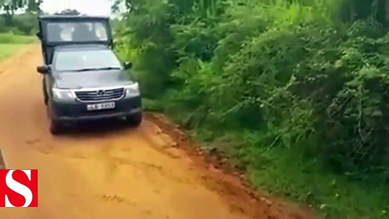 Dehşet anları!; Leopar köpeğe böyle saldırdı