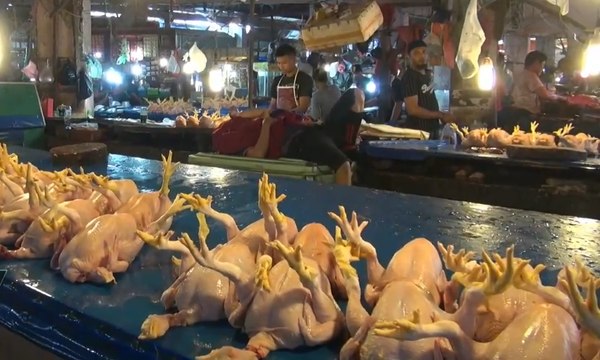 Jelang Ramadhan, Harga Daging dan Telur Ayam Naik