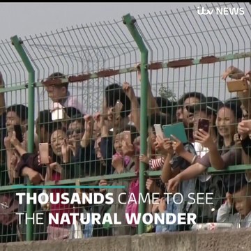 Çin'deki Qiantang Nehri kıyısında binlerce kişi, dünyaca ünlü doğa harikası olan bir gelgit çukuru sırasında birbiri içine düşen büyük dalgaları izlemek için to