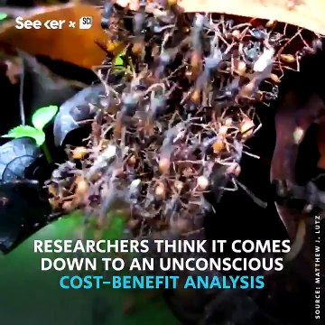 En çok da sizin 1 Mayıs İşçi ve Emekçi Bayramınız kutlu olsun. Sizden öğrenecek daha çok şeyimiz var. tw/seeker