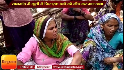 सीतापुर के तालगांव में कुत्तों ने फिर एक बच्चे को नोंच कर मार डाला