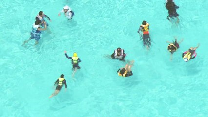 "오늘은 내가 주인공!"...놀이공원마다 웃음꽃 / YTN