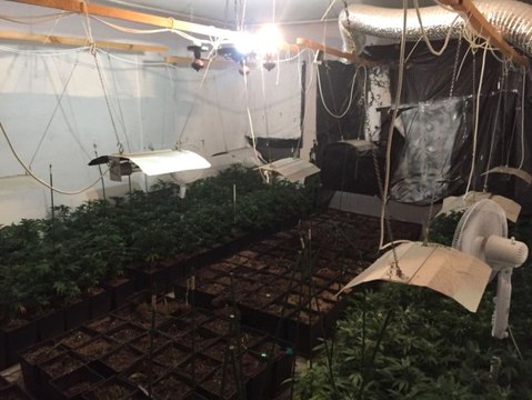 Lüks Villaları, Özel Sistemle Uyuşturucu Tarlasına Çevirmişler