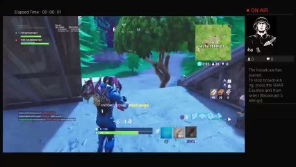 rokyplayzagar's fornite lamas