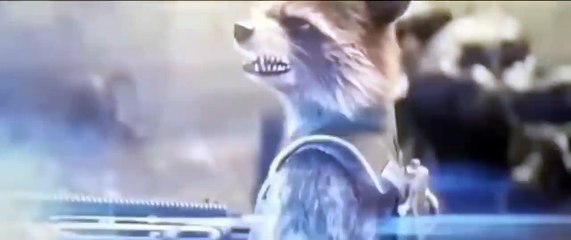 Avengers Infinity War Winter Soldier and Rocket Raccoon