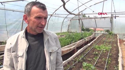 Zonguldak Evinin Çatısına Sera Kurdu 2