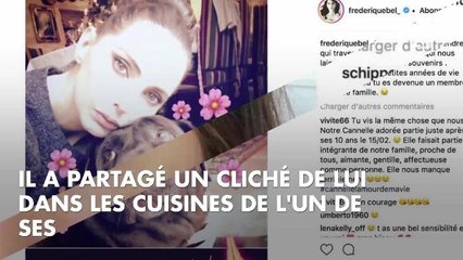 PHOTOS. Ireland Baldwin, Florent Manaudou... Découvrez le best-of Instagram de la semaine !