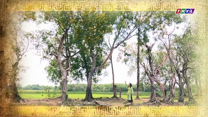 THVL   Chuyện xưa tích cũ–Tập 23[4]  Bà Quân dùng chén thuốc bổ làm phần thưởng cho vợ chồng Ái Liên - YouTube