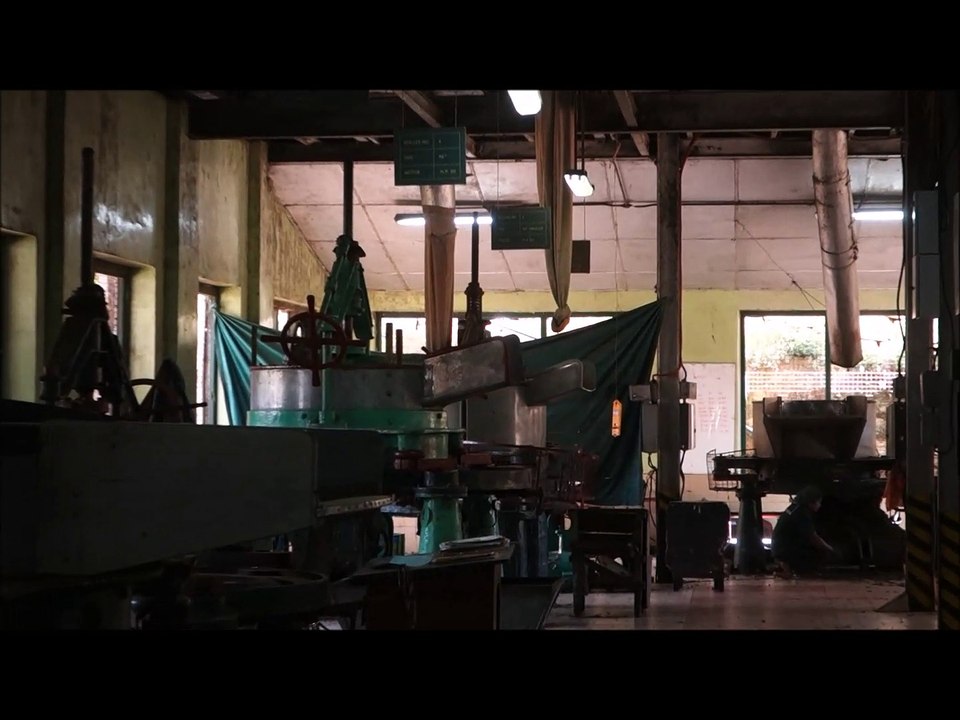 Tea Factory