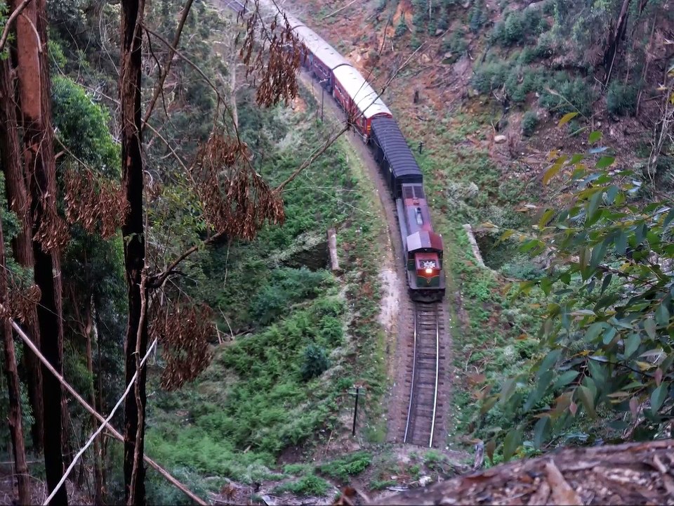 Train Ohiya