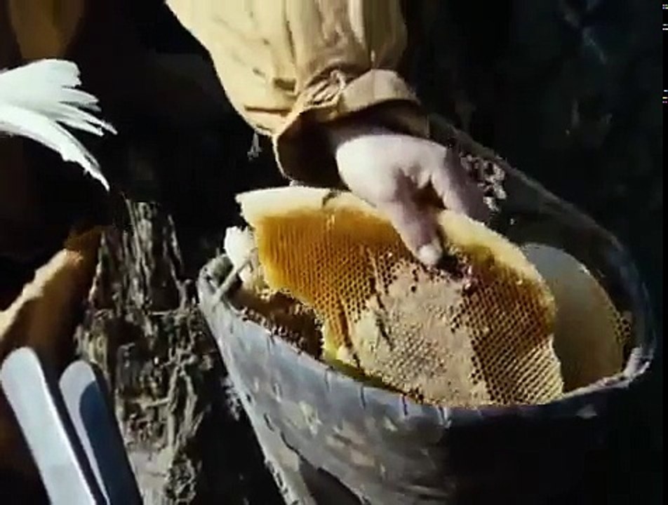 Kráľ drozdia brada 1984 - celý film ♥ CELÝ DÍL part 3/3