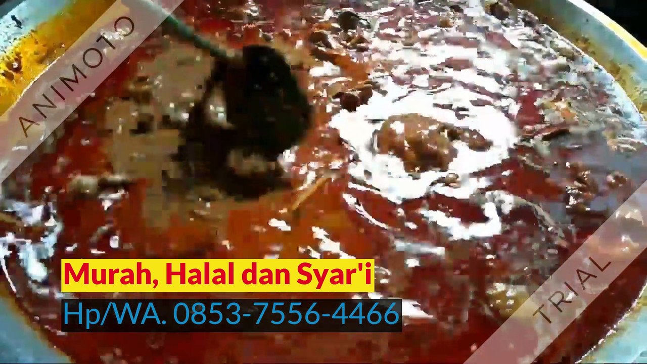 MURAH, WA +62 853-7556-4466, Catering Prasmanan di Padang