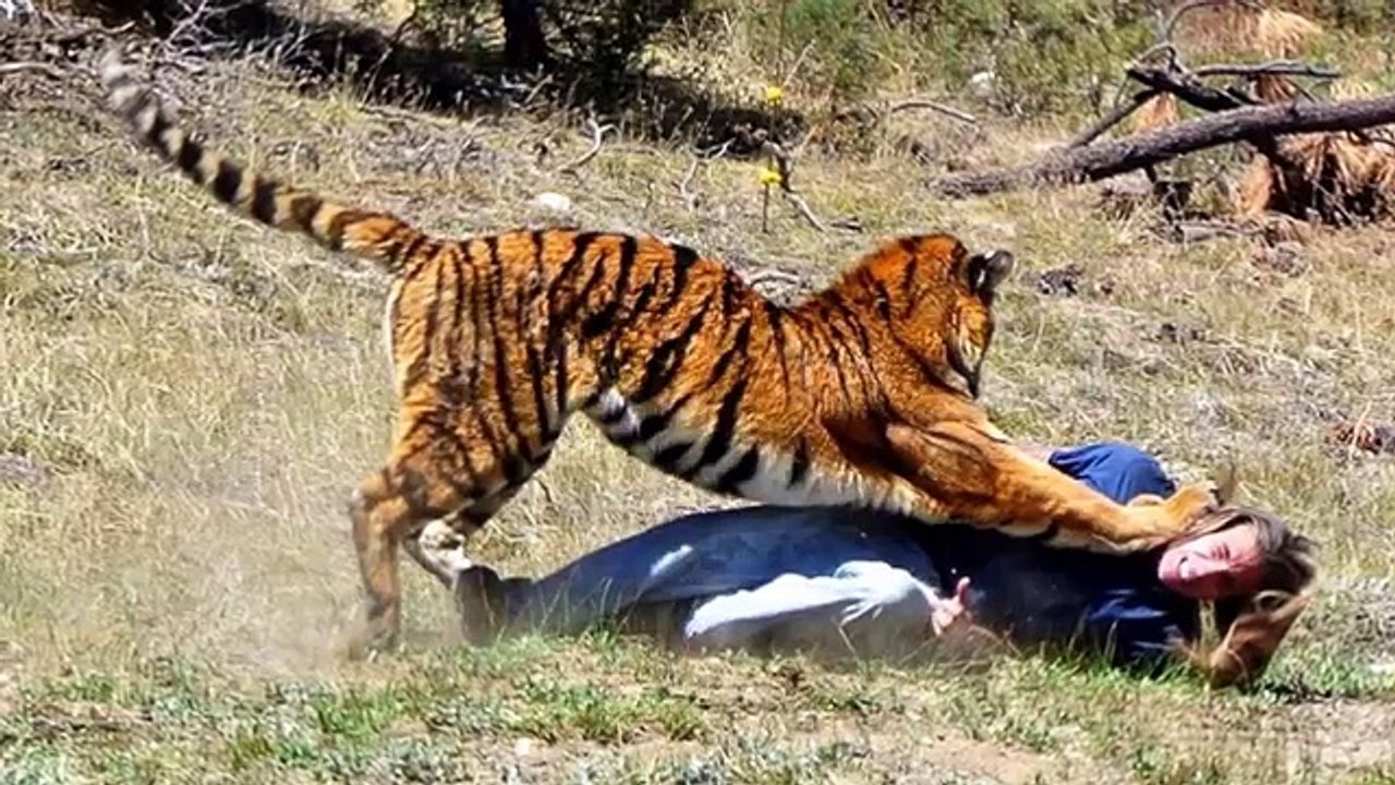 Pets That Ate Their Owners