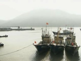 L'invasion des meduses geantes (3 sur 3)