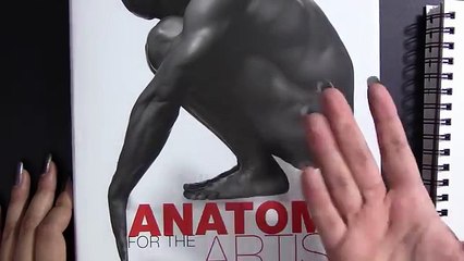 How to draw the Female Body (figure)!