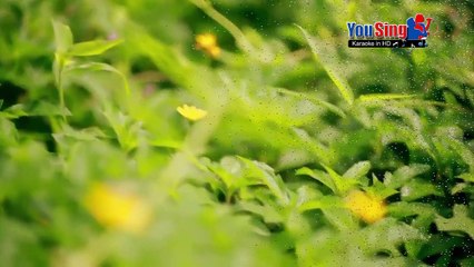 Không Giống Những Giấc Mơ - Trà My Angel