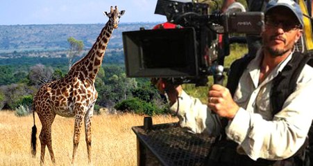 Zürafa Ödüllü Yönetmen Carlos Carvalho'yu 5 Metre Havaya Fırlatıp Öldürdü