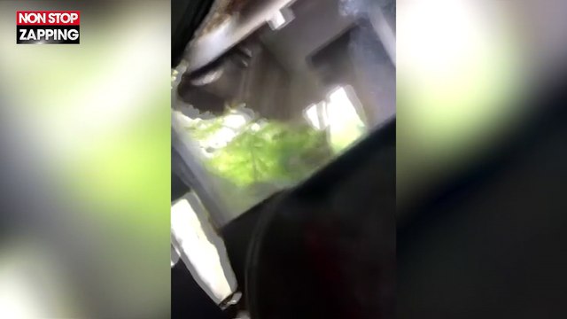Un bus force le passage dans une route beaucoup trop étroite... et c'est le fiasco (vidéo)