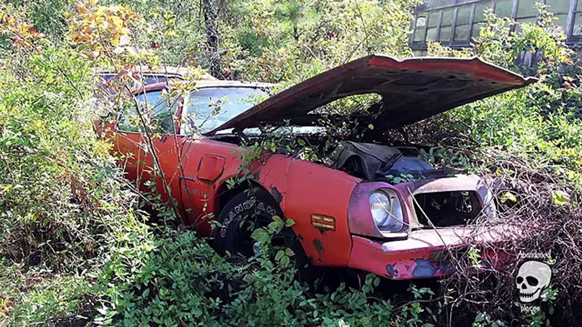 ⁣Abandoned muscle cars. Classic muscle cars abandoned. Old cars abandoned