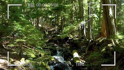 5 Bizarre Real Life HORROR CAMPING STORIES