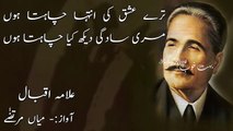 Tere Ishq Ki Inteha Chahta Hoon - Allama Iqbal Poetry - Mian Murtaza - Bohat Khoob - watch for my dailymotion Channel pakistanfaisal991