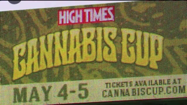 Cannabis Cup in California Draws Big Names, Droves of Pot Enthusiasts