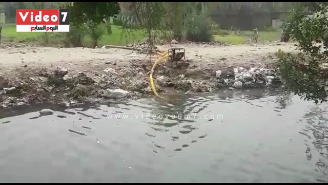 أهالى قرية النواورة بأسيوط يشتكون من إلقاء مياه الصرف الصحى بترعة سيالة