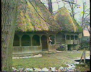 Sava Negrean Brudascu - Fa bine bade si iarta